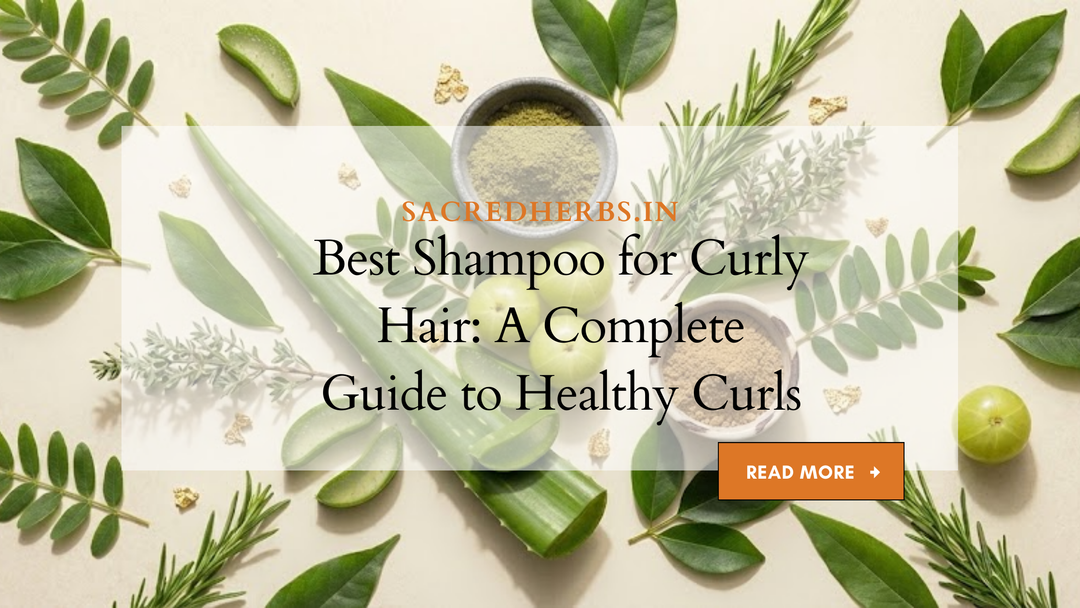 Best Shampoo for Curly Hair: A Complete Guide to Healthy Curls
