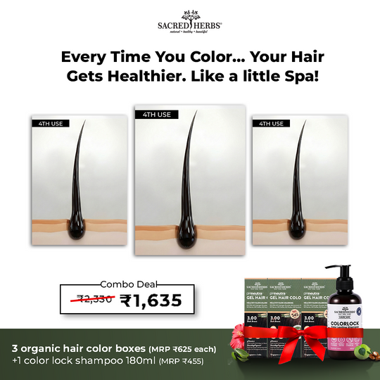 Best Organic Hair color with 100% grey coverage (3 hair color boxes + 1 ColorLock Shampoo) (1635)