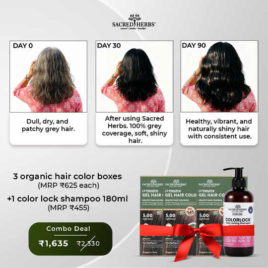 Best Organic Hair color with 100% grey coverage (3 hair color boxes + 1 ColorLock Shampoo) (1635)